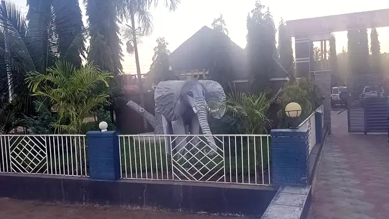 The elephant at the gate