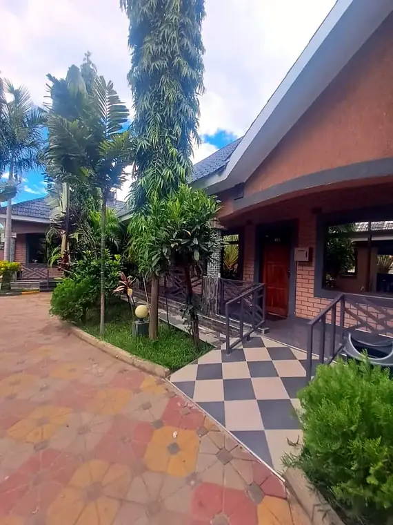 The garden path between the palms