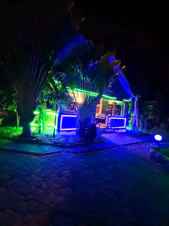 The courtyard building lit in blue and green at night